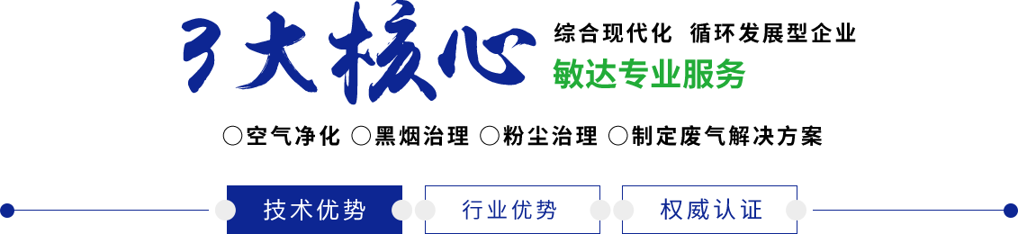 色狼专看的软件之91敏达环保科技（嘉兴）有限公司